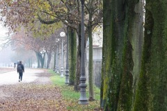 Mura di Lucca