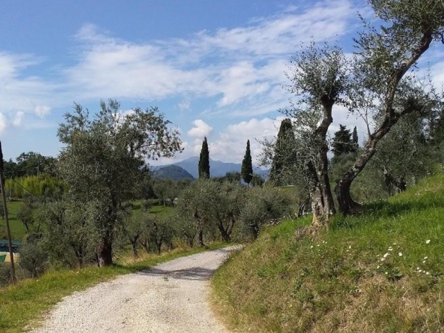 Due passi fuori dall'Osteria il Botteghino